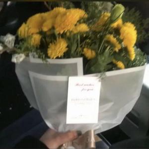 嘉宾（翻自 张远）