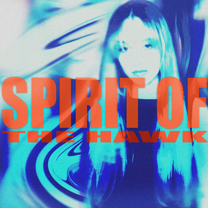 Spirit of the Hawk