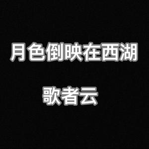 月色倒映在西湖