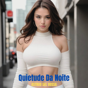 Quietude Da Noite