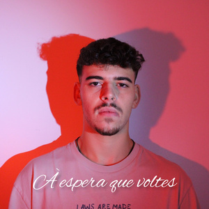 À ESPERA QUE VOLTES