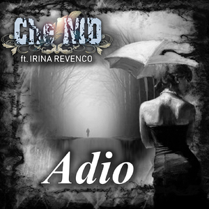 Adio (feat. Irina Revenco)