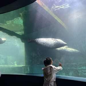 上班累也要天天向上