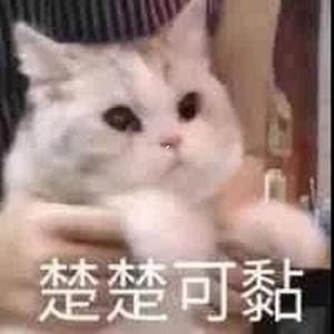 每分每秒（翻自 曲肖冰）