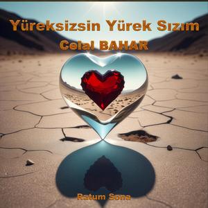 Yüreksizsin Yürek Sızım