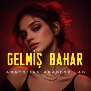 Gelmiş Bahar Geçmiş Yazlar