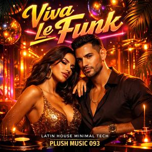 VICA LE FUNK