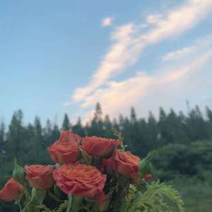 一周（prod LilSiren）