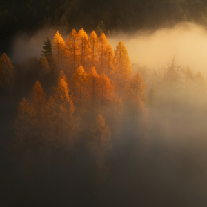 Sundrift