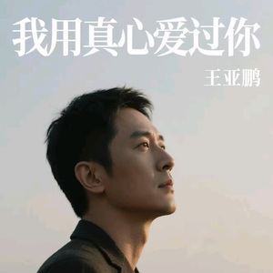 我用真心爱过你 (烟嗓版)