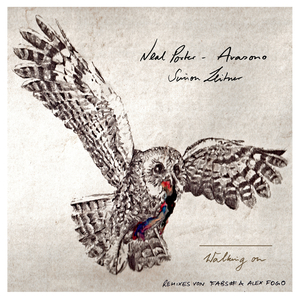 Walking On (Alex Fogo Remix)