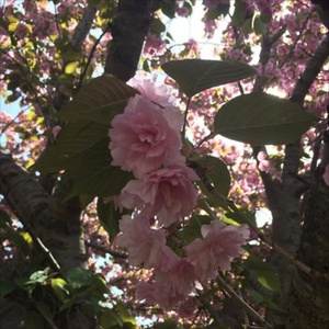 i'd only take that (prod. hotboytrav)