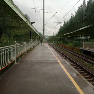 Будни родного лимба