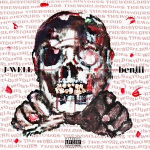 idk if im gon wake up