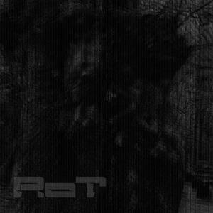 Rot
