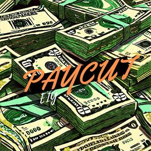 Paycut!