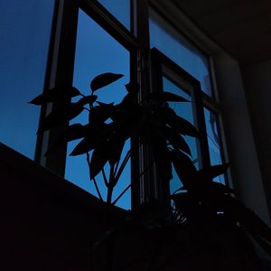 夜晚的星光照亮我的路