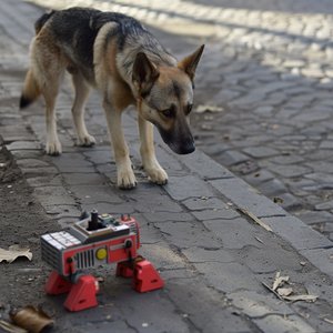 RUNNING THROUGH MIDNIGHT