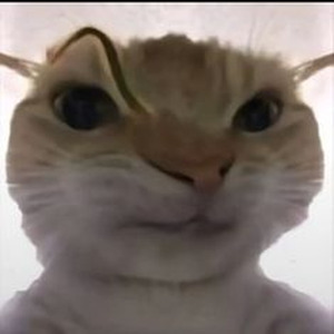 College Boy (slowed)