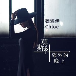 莫斯科郊外的晚上