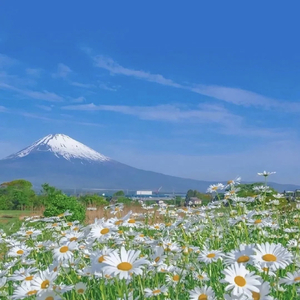大哥哥有女朋友ma