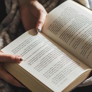 午后翻阅 (八音盒)