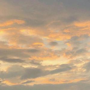 夏悸 cover：黄鲲