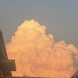 花鸟云日-整曲 伴奏