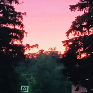 СГОРАЮ
