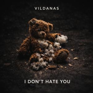 I don't hate you