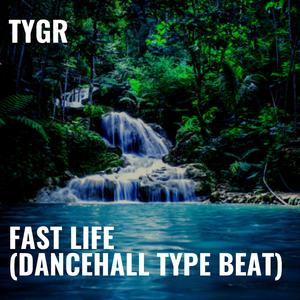 Fast Life (Instrumental)
