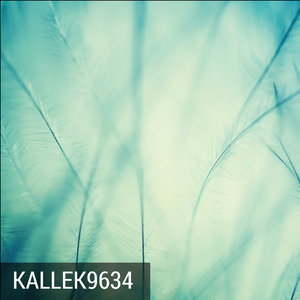 Iguales (Version Final)