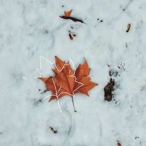 满舒克-眠冬（YQbeef remix）