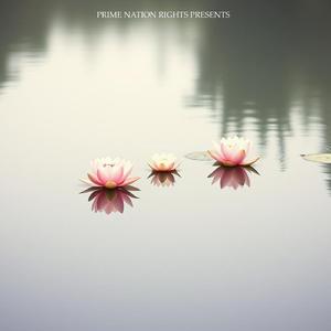 True Self Discovery Journey