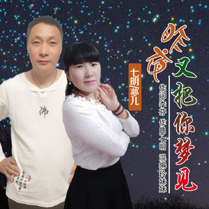 昨夜又把你梦见