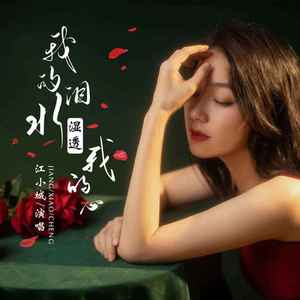 我的泪水湿透我的心 (DJ版)