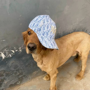 权b-阿扎萨1.0（白先森 remix）