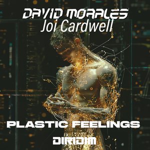 PLASTIC FEELINGS (Extended Mix)