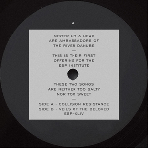 Veils Of The Beloved