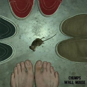 Wall Mouse