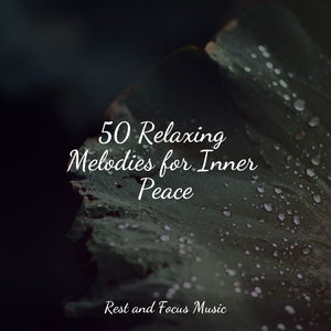 Sunrise on the Horizon