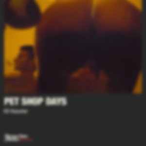 Cities Expanse (From "Pet Shop Days")