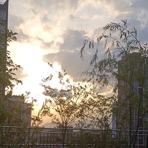 生活需要笑着走下去