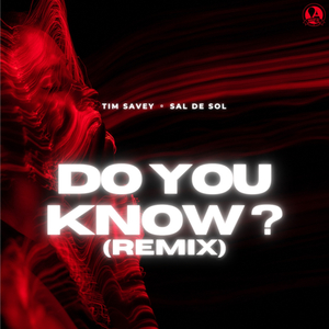 Do You Know? (Remix)