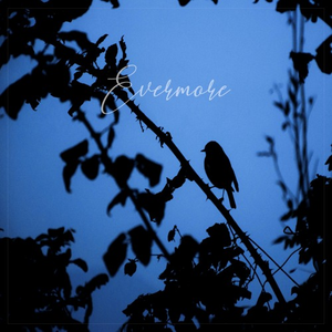 Evermore