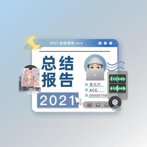 2021总结报告