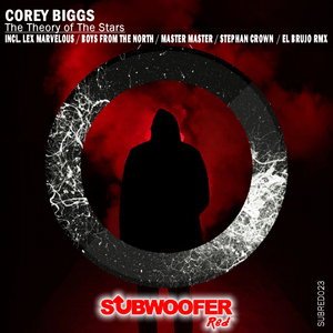 The Theory of the Stars (Boys From The North Remix)