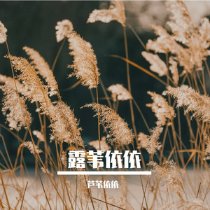 李白今天不打卡#百万奖金AI创作大赛+主题三