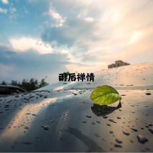 心灵栖息地 (练字)