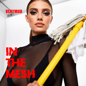 In the Mesh
